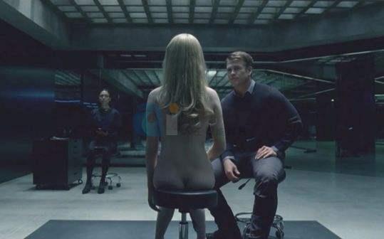 timg (1).jpg timg (1).jpg