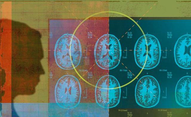 1534804200111fe944121bd.jpg 1534804200111fe944121bd.jpg