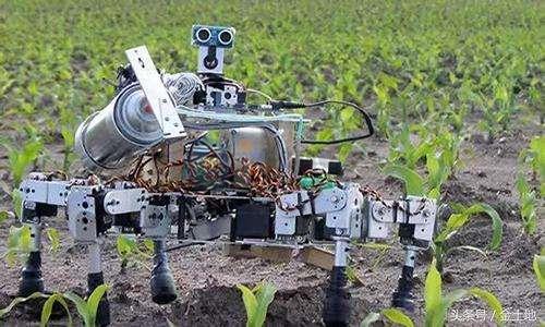 人工智能通过分析环境温度、降雨量、土壤盐分等数据,帮助农业从业者合理规划生产种植 人工智能通过分析环境温度、降雨量、土壤盐分等数据,帮助农业从业者合理规划生产种植