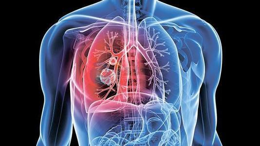 人工智能肺癌检测系统,准确率94% 人工智能肺癌检测系统,准确率94%