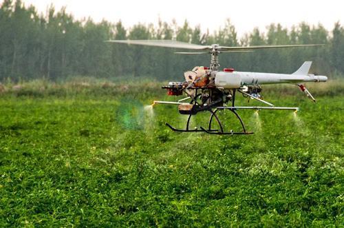 人工智能技术在育种领域里的人才资源缺乏 人工智能技术在育种领域里的人才资源缺乏