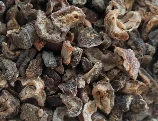 中药材庵摩勒 中药材庵摩勒:古老传说与现代传奇