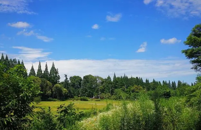 夏天空气污染与生态保护：共同守护蓝天白云
