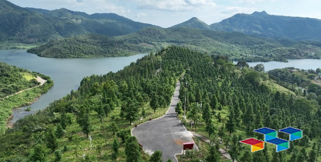 湖南靖州中药材 林地“三权分置”助力湖南靖州中药材产业蓬勃发展