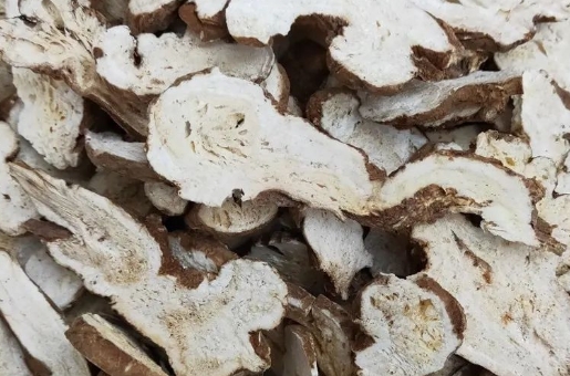 白术的药材故事：千年守护的健脾使者