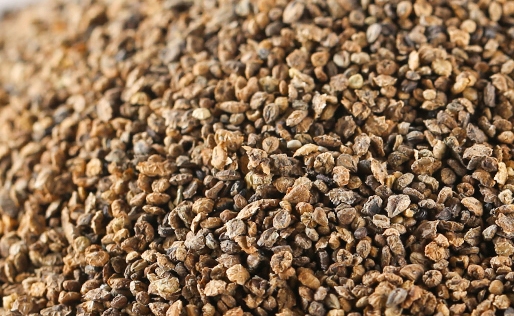 地肤子 亳州中药材市场地肤子行情出现上调 产地近日价格上扬