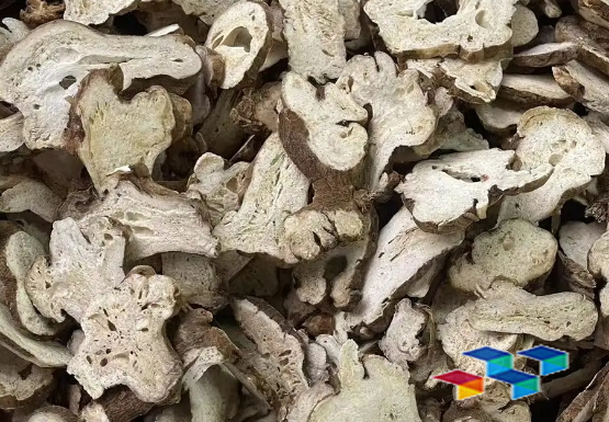 中药材故事|中药材白术的传奇故事