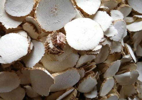 白芷药材故事 白芷:穿越千年的草本传奇