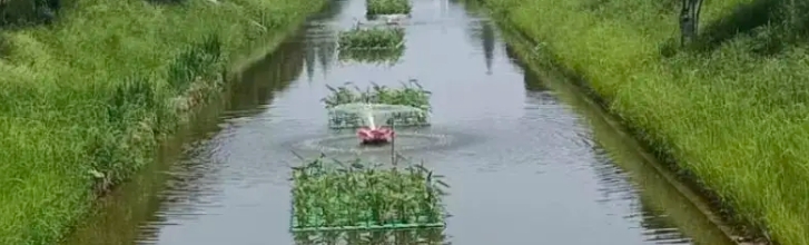 让绿色薪火“燎原”湖湘大地