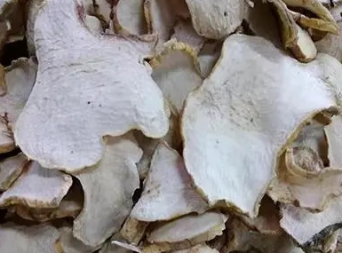 白芨 白芨是什么?中药材白芨的药材简介