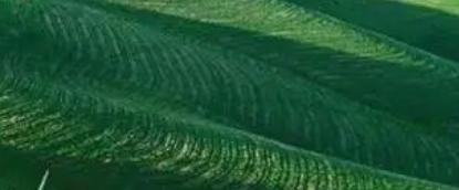 建设美丽中国 促进人与自然和谐共生