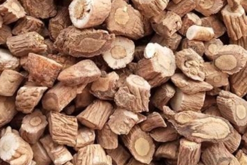 板蓝根 玉林中药材市场板蓝根货源充足近期走动不畅