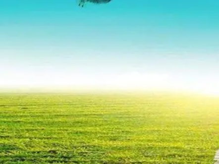 生态保护：建设美丽中国 促进人与自然和谐共生