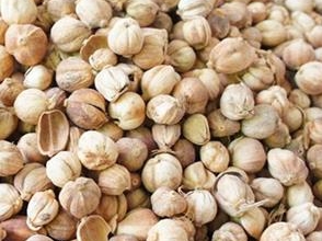 亳州中药材市场白豆蔻价格波动有限 一般为批量走动