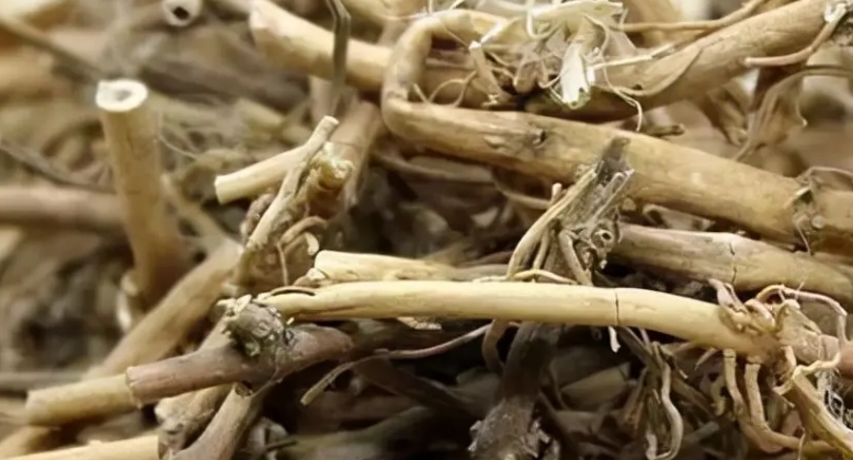 中药材白前药材简介与功效作用