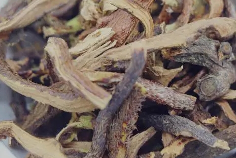 骨碎补 玉林中药材市场骨碎补行情稳定运行