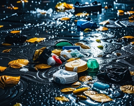 暴雨过后，环境卫生问题不容忽视！