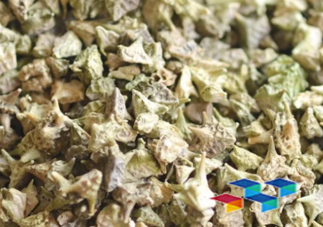 白蒺藜是什么?中药材白蒺藜的功效探秘