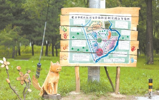 北京首个林长制实践区投入使用