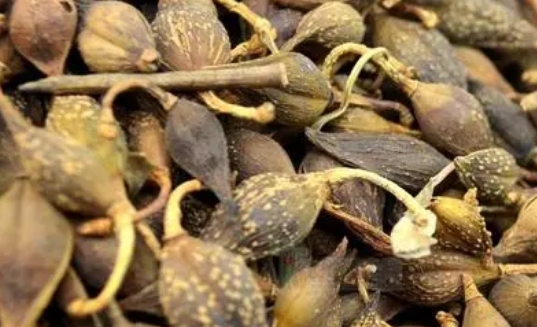 2024年8月19日河北安国药材市场中药材价格行情快讯