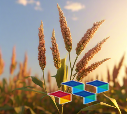 每天一碗黑芝麻糊不仅能补充钙质，还能帮助排毒养颜哦！