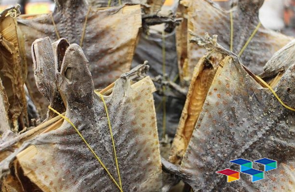 2024年8月21日河北安国药材市场中药材价格行情快讯