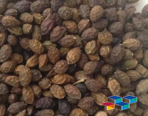 2024年8月21日安徽亳州药材市场中药材价格行情快讯