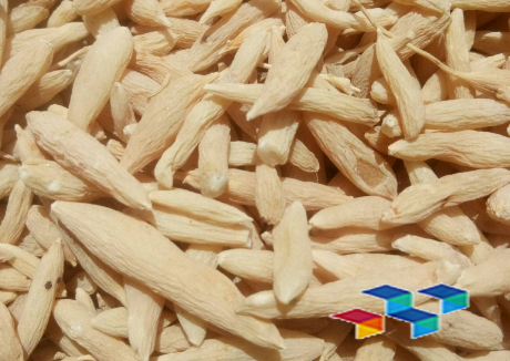 2024年8月22日广西玉林药材市场中药材价格行情快讯