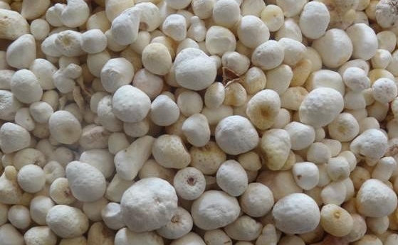 2024年8月26日河北安国药材市场中药材价格行情快讯