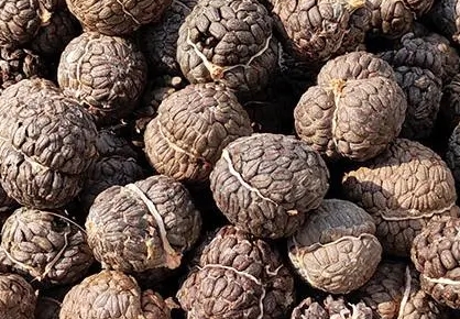 2024年8月27日广西玉林药材市场中药材价格行情快讯