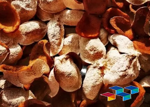 2024年8月28日四川荷花池药材市场中药材价格行情快讯