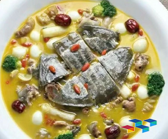 鳖甲的食用方法有哪些?鳖甲的食用功效与作用