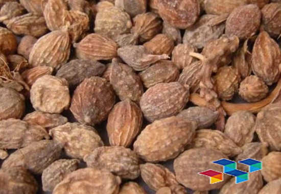 2024年8月30日广西玉林药材市场中药材价格行情快讯