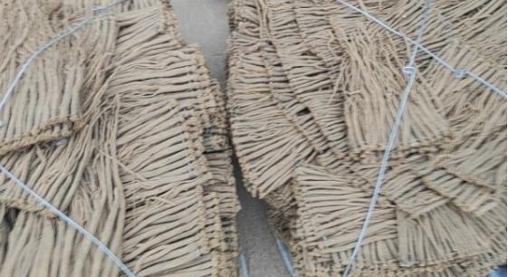 中国医药保健品有限公司到广西玉林考察 打造产地直供优质八角供应链