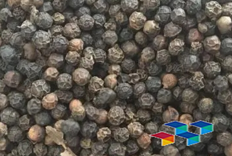 2024年9月2日河北安国药材市场中药材价格行情快讯