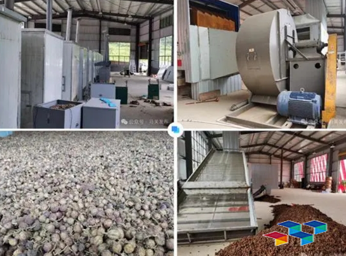 道地药材|沪滇协作让马关药材更“地道”