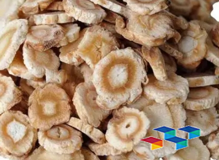 北沙参 安国中药材市场北沙参新货零星产出