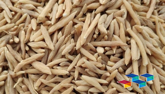 2024年9月11日安徽亳州药材市场中药材价格行情快讯