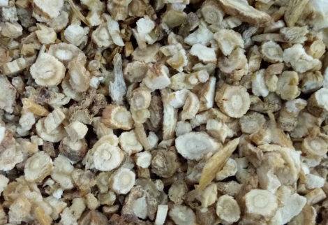 中药材北沙参有哪些功效与作用?北沙参简介!