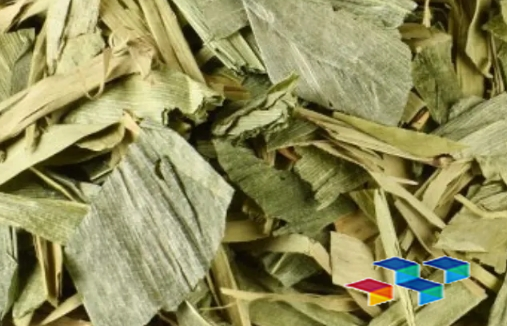 2024年9月13日广西玉林药材市场中药材价格行情快讯