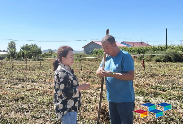 地里出“黄金” 中药材成致富“良方”