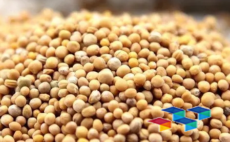 2024年9月19日广西玉林药材市场中药材价格行情快讯