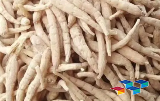 2024年9月23日河北安国药材市场中药材价格行情快讯