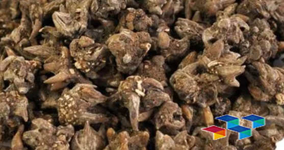 2024年9月24日安徽亳州药材市场中药材价格行情快讯