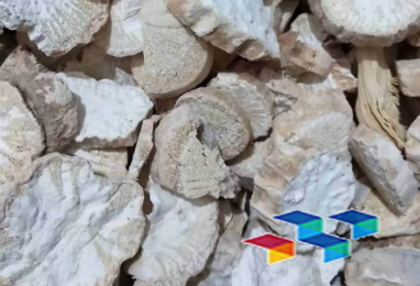 防己 安国中药材市场防己产新继续 行情下滑