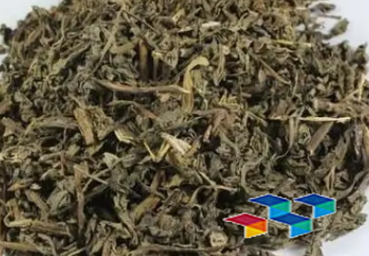 败酱草功效:清热解毒的良药