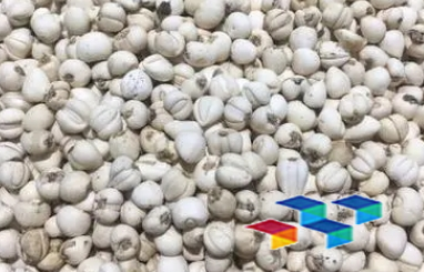 2024年10月11日河北安国药材市场中药材价格行情快讯