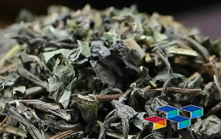 老而神秘的中药材败酱草有哪些药材传说？