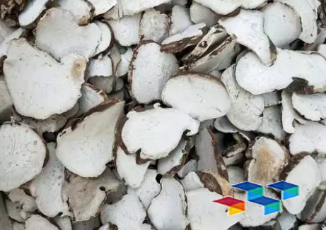 2024年10月21日安徽亳州药材市场中药材价格行情快讯