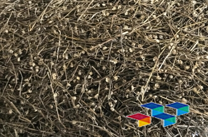 2024年10月22日广西玉林药材市场中药材价格行情快讯